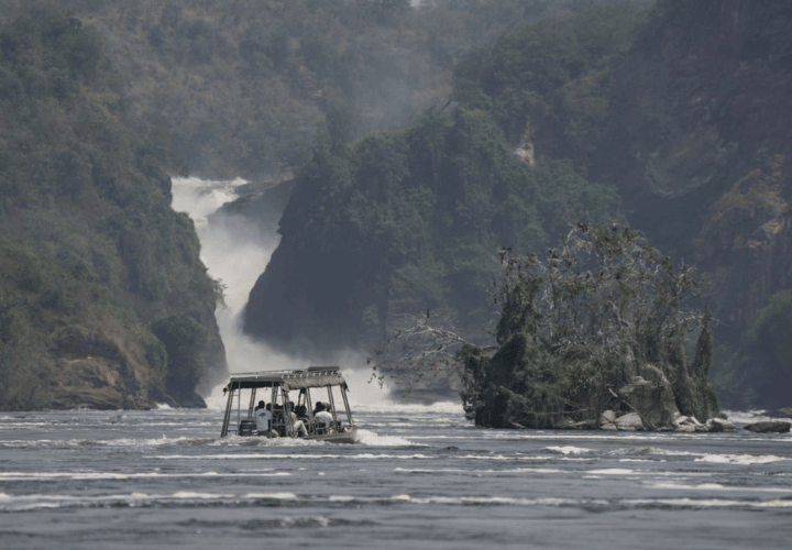Navigation sur le nil à Murchison Falls