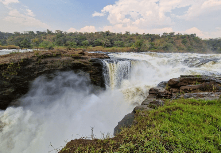 Les chutes à Murchison Falls