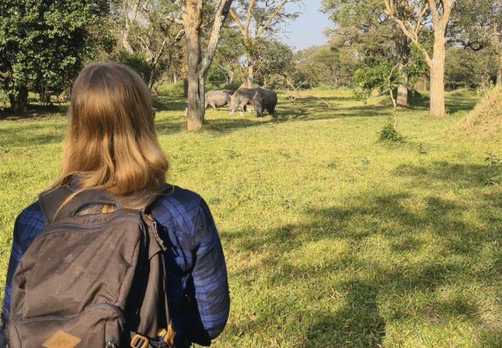 Observation des rhinocéros à Ziwa rhino sanctuary