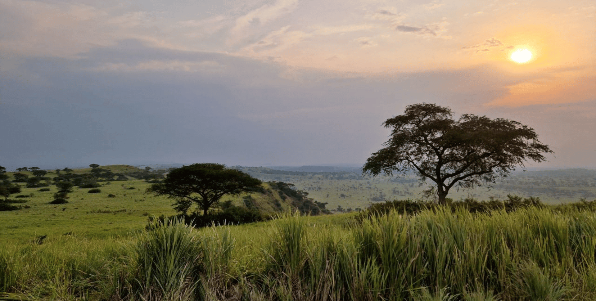 Voyager en ouganda, des paysages spectaculaires
