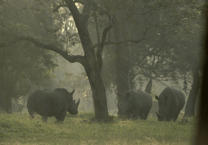 Ziwa Rhino sanctuary