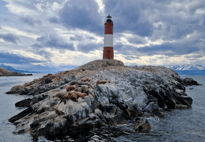 Excursion en bateau dans le canal beagle