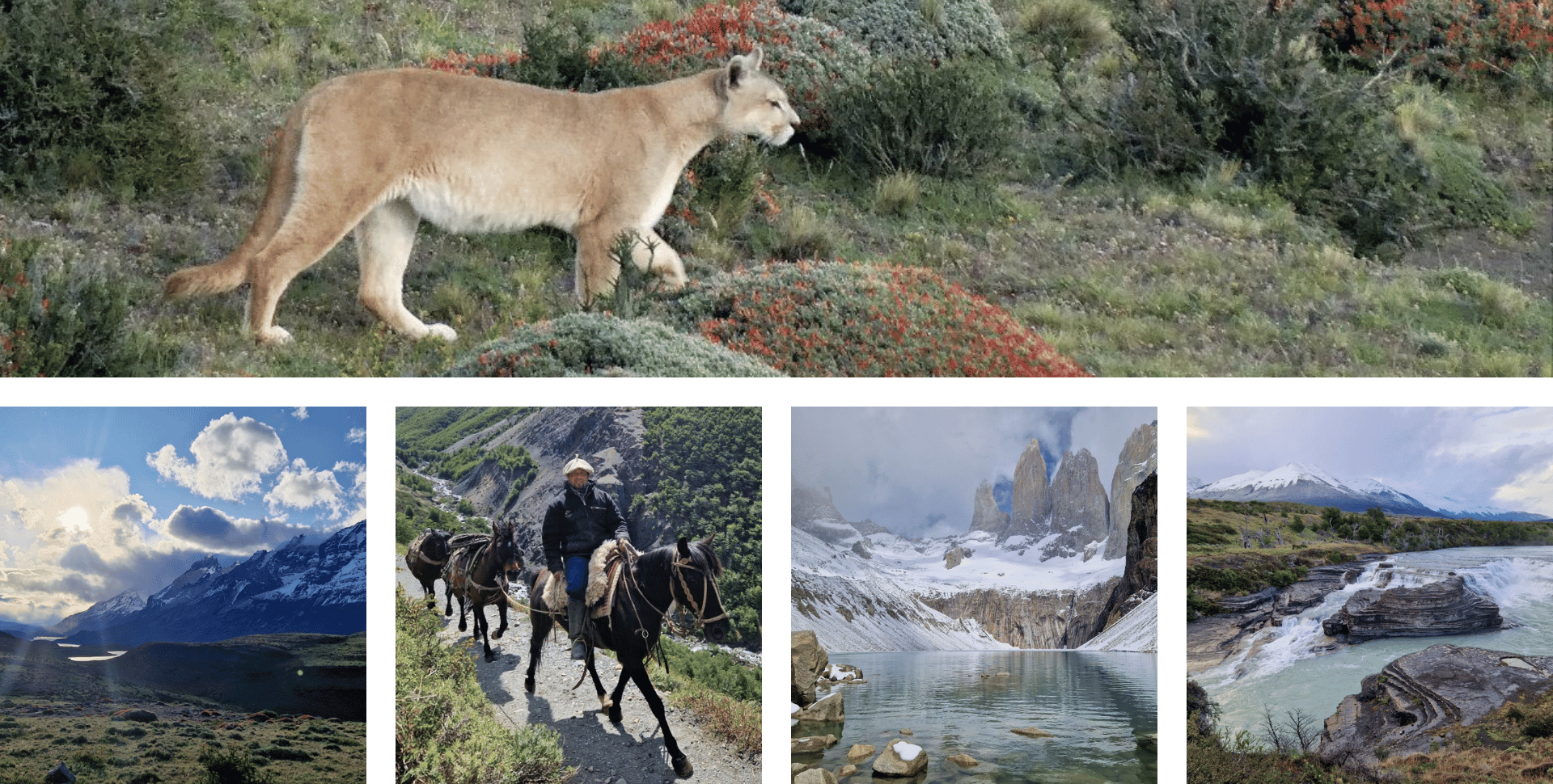 Voyager en Patagonie à Torres del Paine